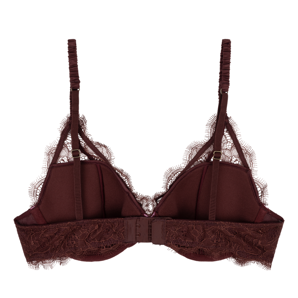 Love Stories Women's Gwyneth Padded Wired Bra Dark Brown - abigail fashion